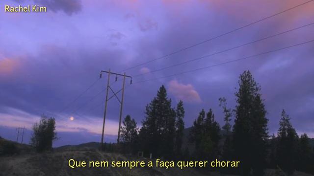 Sleeping At Last - Already Gone (Tradução)