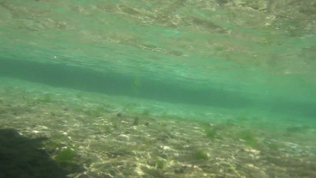 Snorkeling at Island cave @ Mactan, Philippines