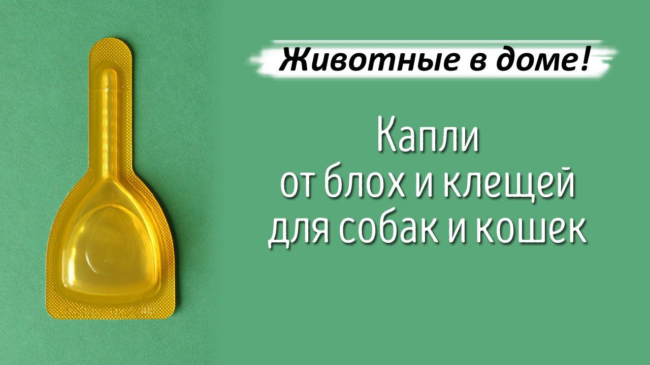 Капли от блох и клещей для собак и кошек.