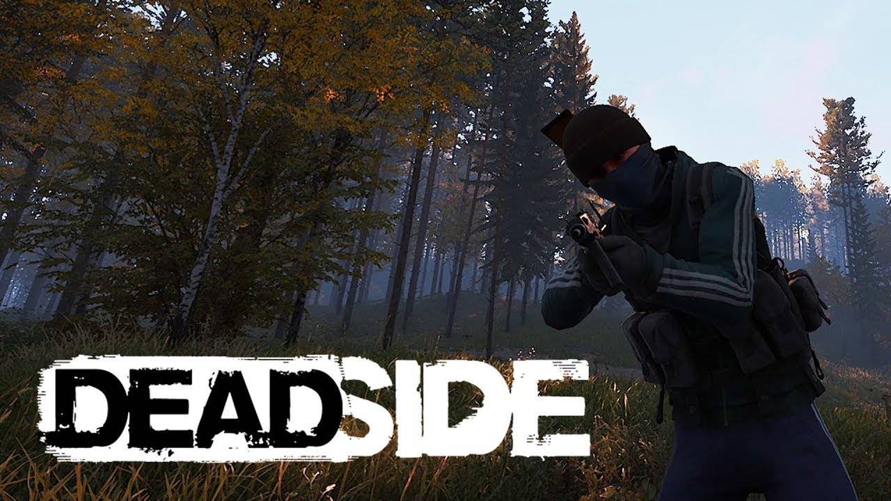 🔴 DEADSIDE СТРИМ | ПОДПИСЫВАЕМСЯ И ЖМЁМ ЛАЙК! БОЛТАЕМ