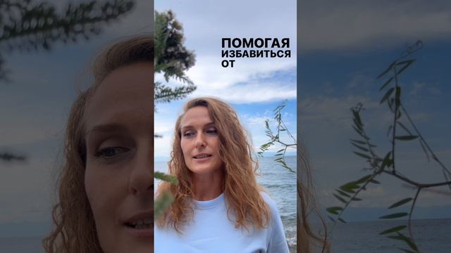 Дугласава пихта -новые начинания