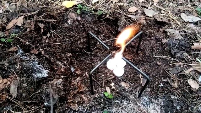 Собрали грибов и готовим ужин в лесу!!!