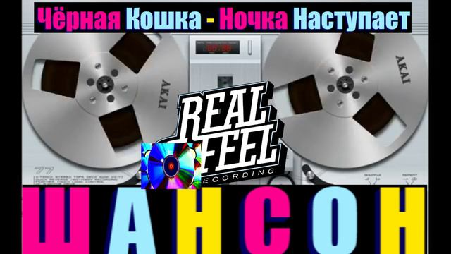 Чёрная Кошка - Ночка Наступает