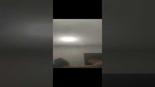 1000010061.mp4