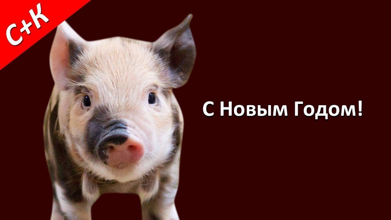 Поздравление с новым 2019 годом!