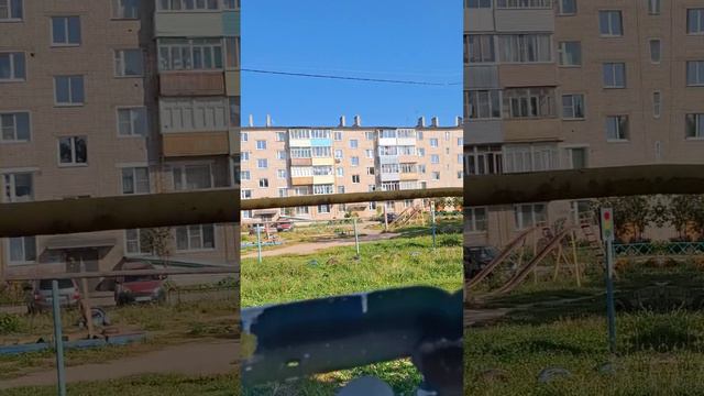 1000002574.mp4 (Собака смотрит на вариант подключения природного газа к дому А-фрейм)