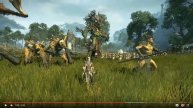 Total War: Warhammer Wood Elves Announced! All The Videos, All The Info! Day 1 Reaction
