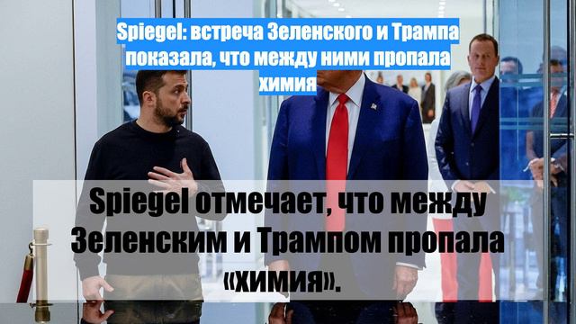 Spiegel: встреча Зеленского и Трампа показала, что между ними пропала химия