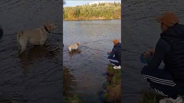 проверил бархатный сизон но было бы лутше море