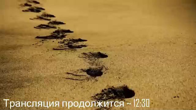 Богослужение 28.09.2024