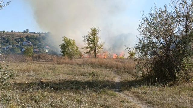 Испепеляющее адское пламя