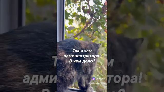 Одним осенним утром))
Проверяющие на страже!🐈🐈⬛🐾