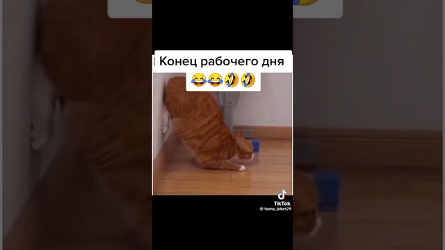 конец рабочего дня