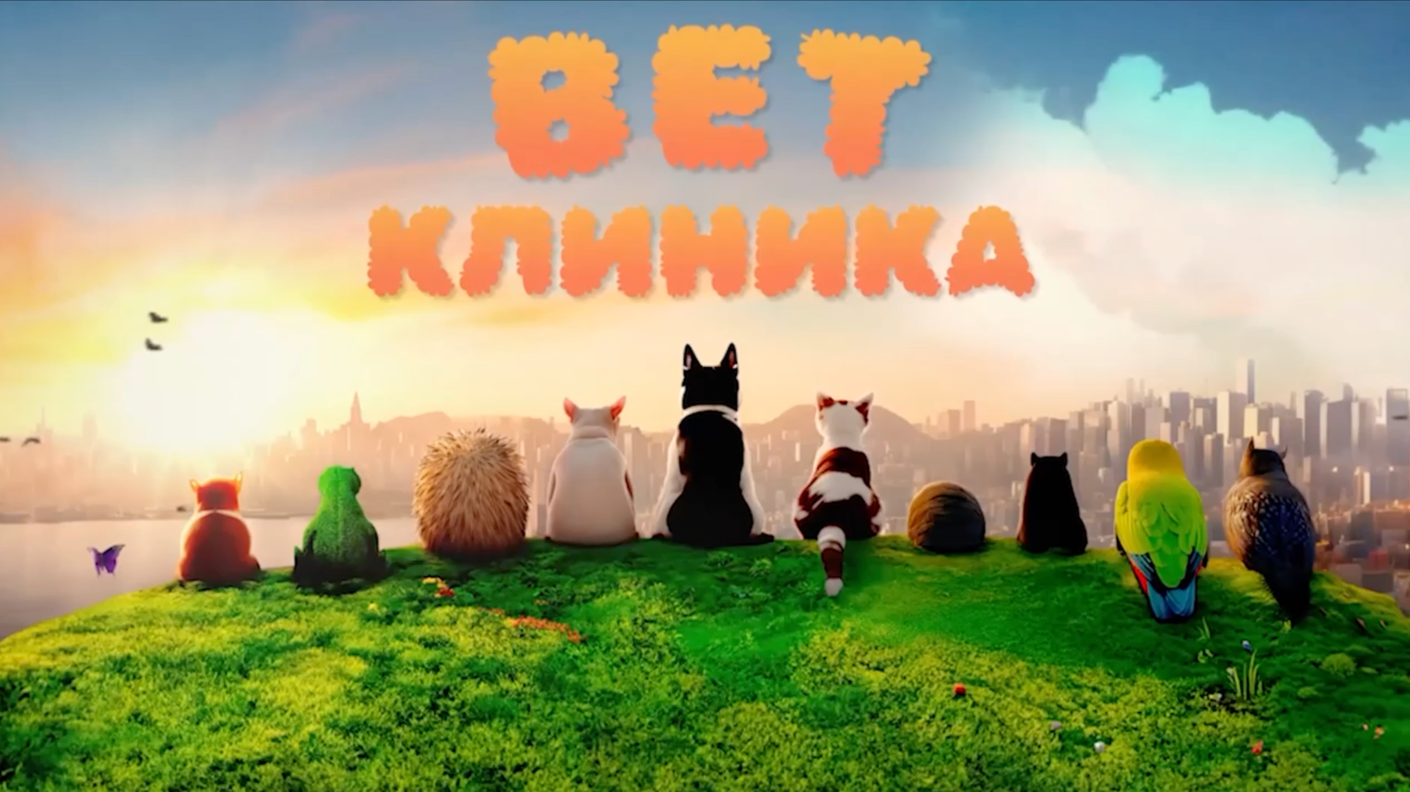 Вакцинация Кошек