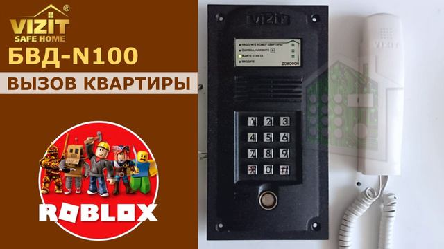 Визит. БВД N100