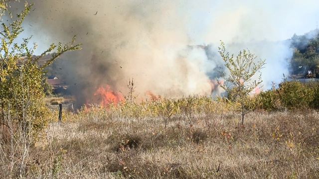 Богоподобная раскалённая жаровня