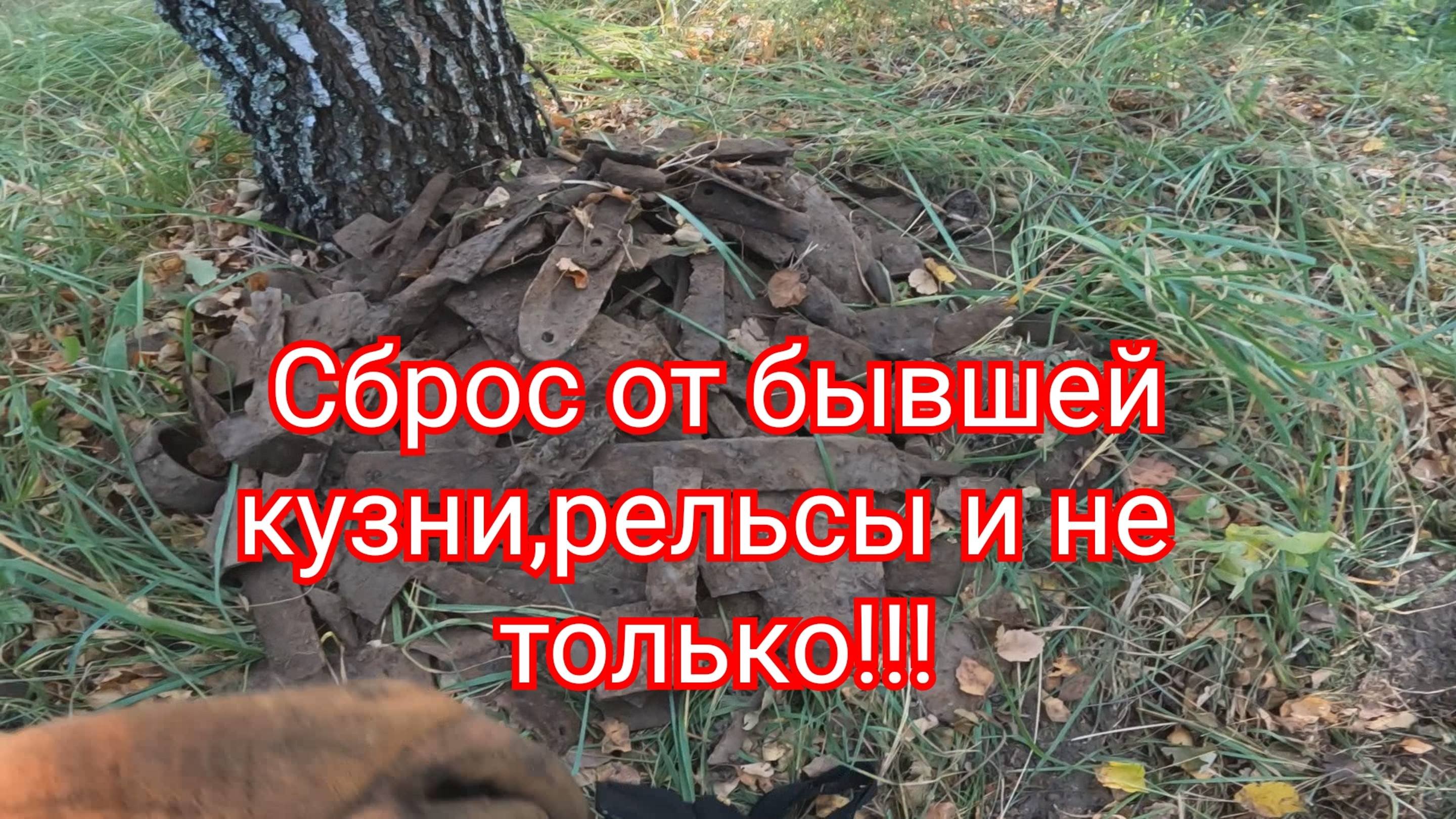 Металлокоп. Рельсы,сброс от кузни,запчасти с УЖД!