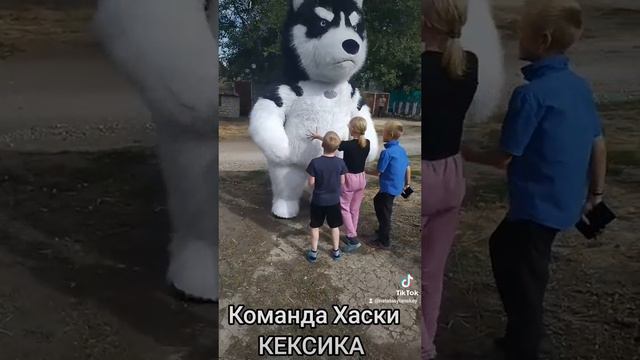 Команда Хаски КЕКСИКА