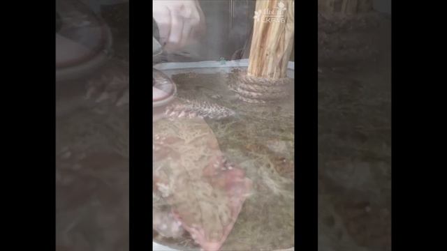 Подставка для цветов напольная с подсветкой