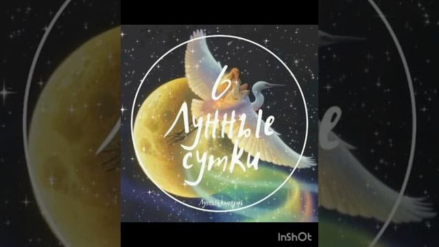 6 Лунные сутки 🌛