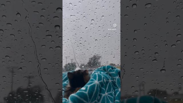 🌧️