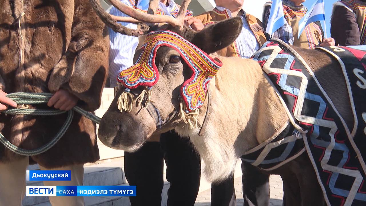 08:20 ВЕСТИ САХА 29/09/24 НА ЯКУТСКОМ ЯЗЫКЕ