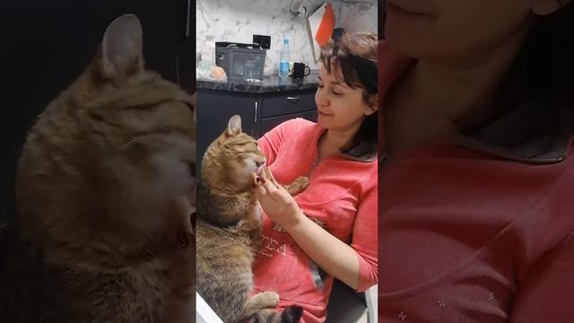 Финдус - любитель кофет