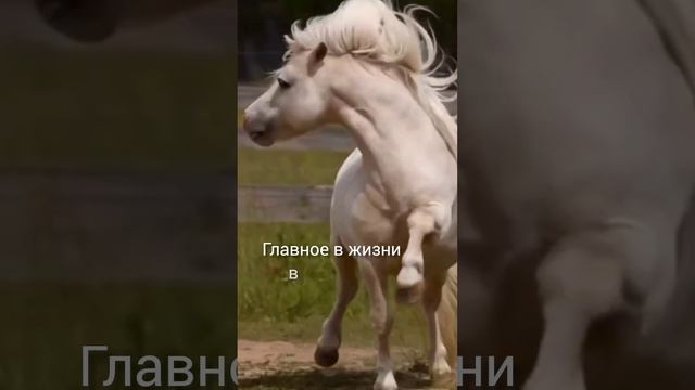 всем таких найти СРОЧНО