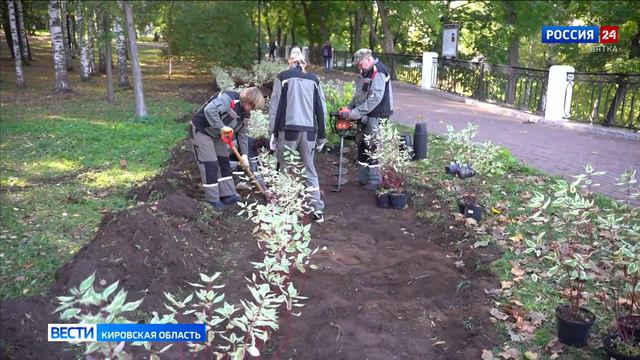 В Кирове стартовал сезон осенних посадок деревьев и кустарников