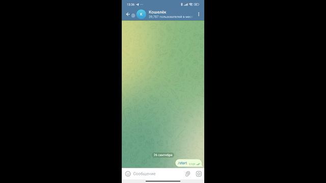 как узнать свой кошелёк telegram