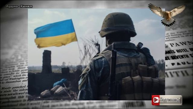 Новые украинские солдаты не умеют воевать ... ОНИ БОЯТСЯ  РОССИЙСКИХ БОЙЦОВ