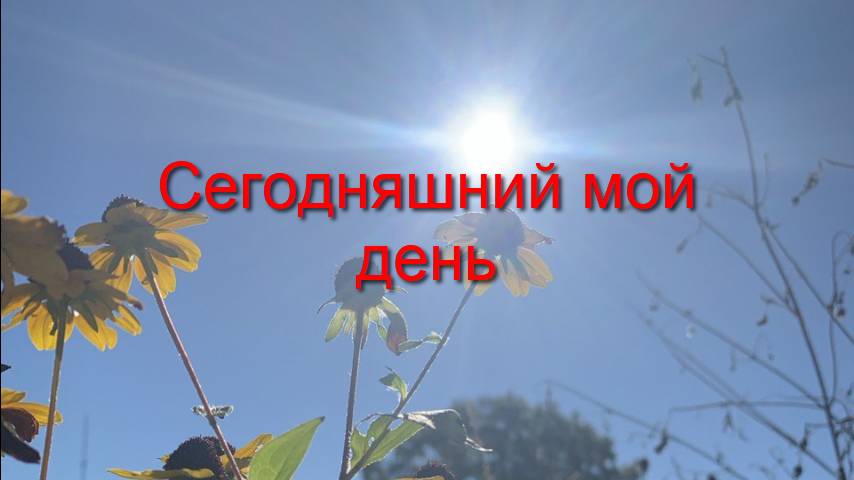 МОЙ СЕГОДНЯШНИЙ ДЕНЬ. 28 сентября 2024 года