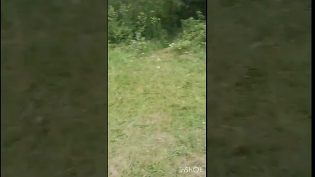Покатушки. Советские мотоциклы.