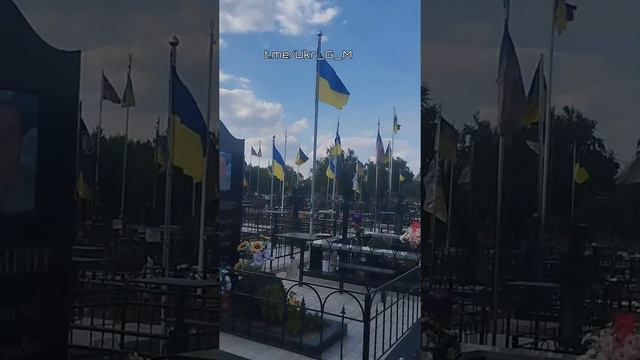 Военные кладбища на Украине стремительно растут по площади и числу могил Как и во многих других ...