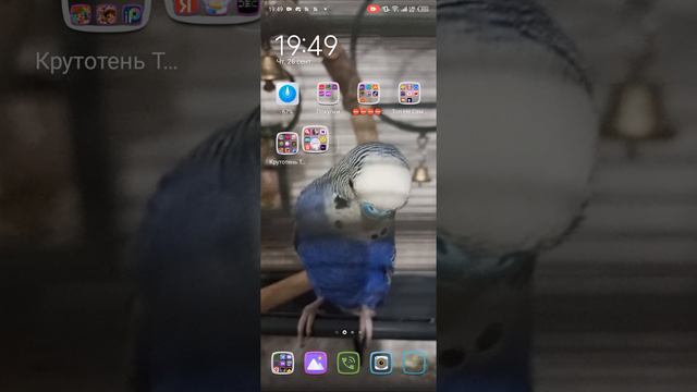 1000009708.mp4