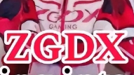 ZGDX