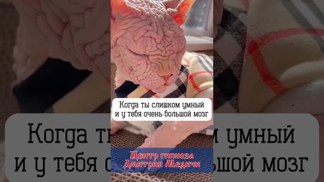 Когда ты слишком умный