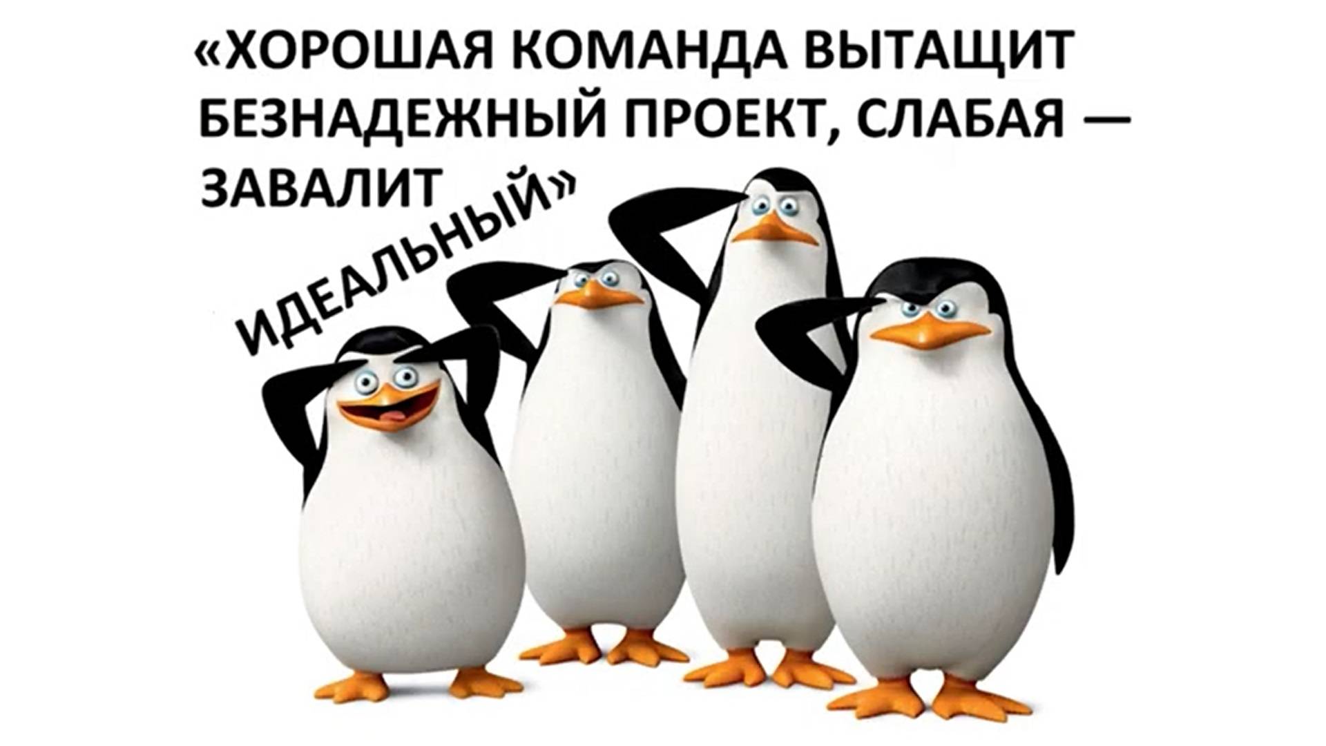 Лучшее видео о КОМАНДА командная работа БОРЬБА МОТИВАЦИЯ ЛИДЕРСТВО БИЗНЕС ПСИХОЛОГИЯ