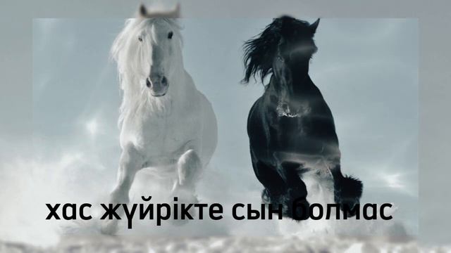 Хас жүйрікте сын болмас-Remix