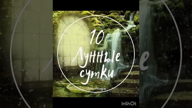 10 Лунные сутки 🌛