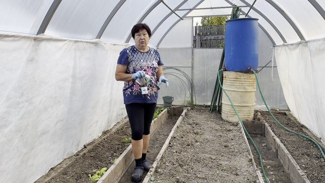 ТЕПЛИЦА ОСЕНЬЮ.ГОТОВИМ ГРЯДКИ К НОВОМУ СЕЗОНУ.