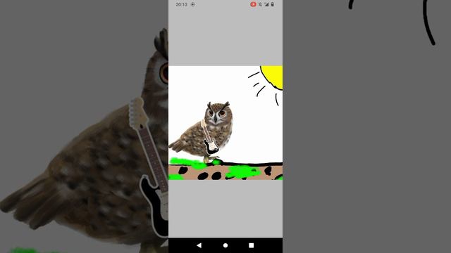 screen-20240928-201014~2.mp4