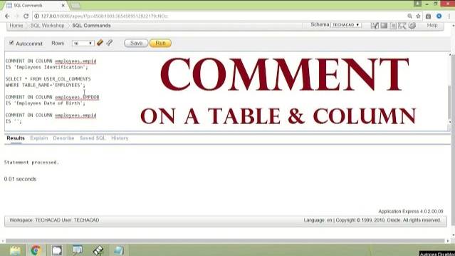 Oracle Tutorial - Add Comment on a Table and Column | Remove Comment