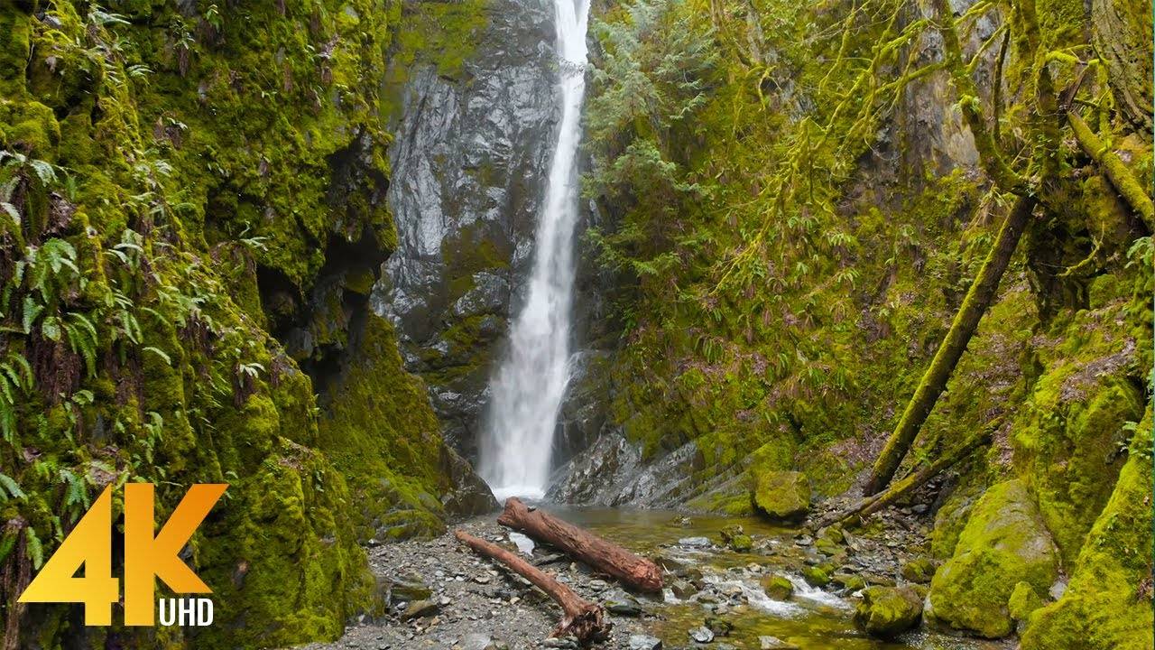 4K Drone Footage - Incredible Nature of Vancouver Island, Canada - 1 HOUR Ambient Drone Film