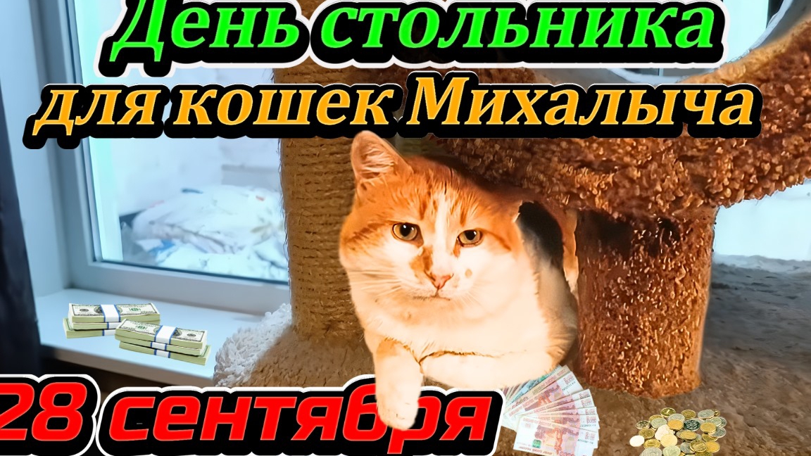 День стольника для кошек Михалыча 28 Сентября.