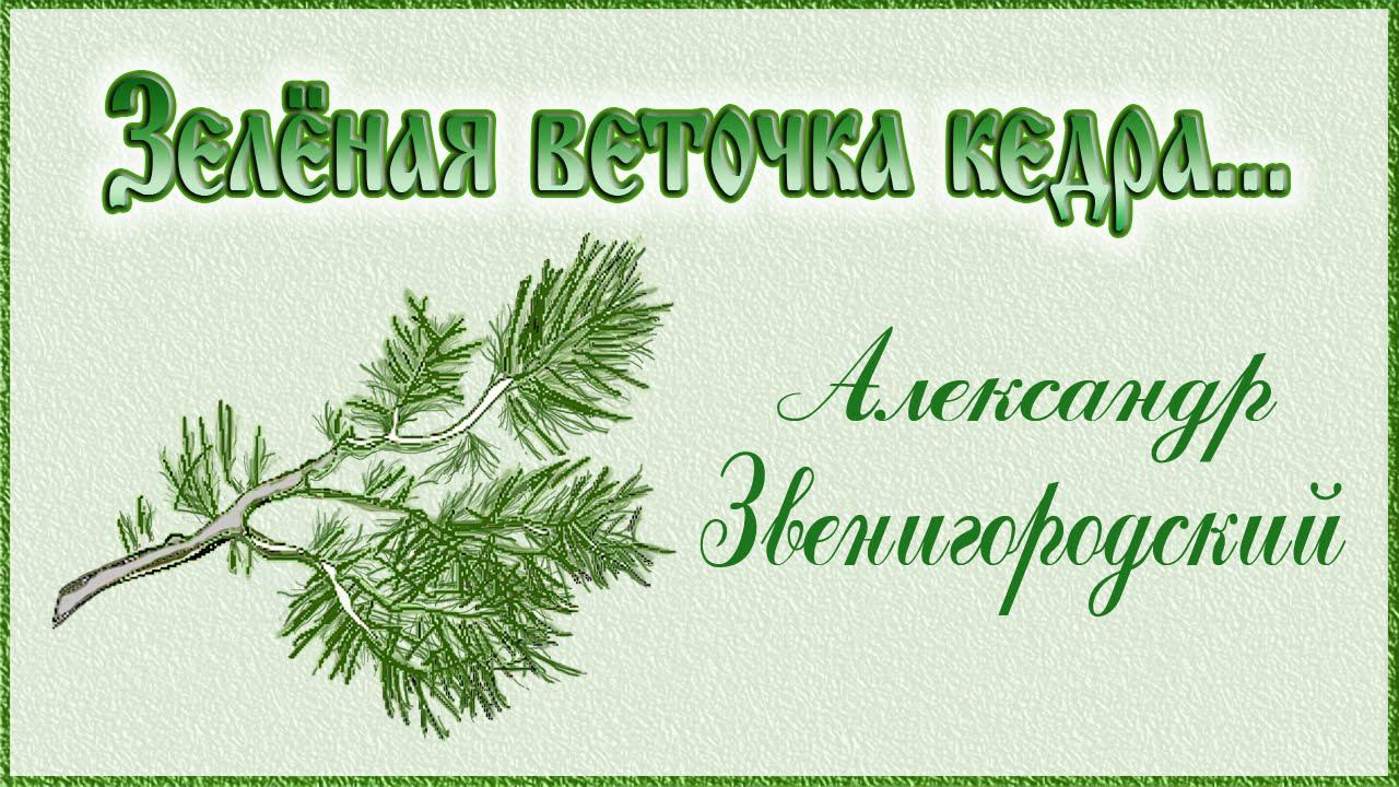 А.Звенигородский - Зелёная веточка Кедра...