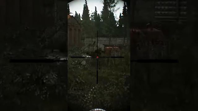 Сальто от чвк #тарков #tarkov #pve  #eft