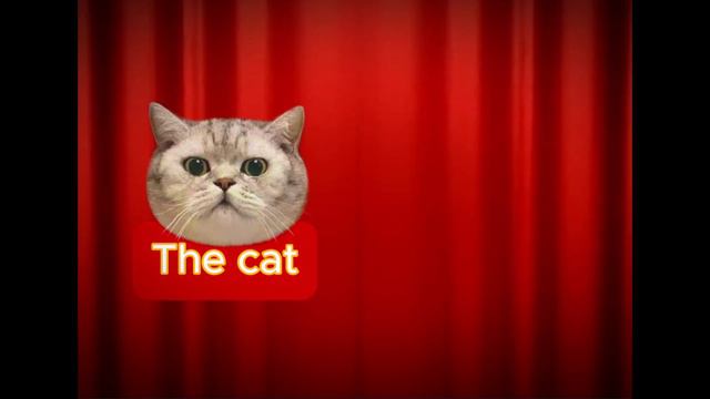 The Cat