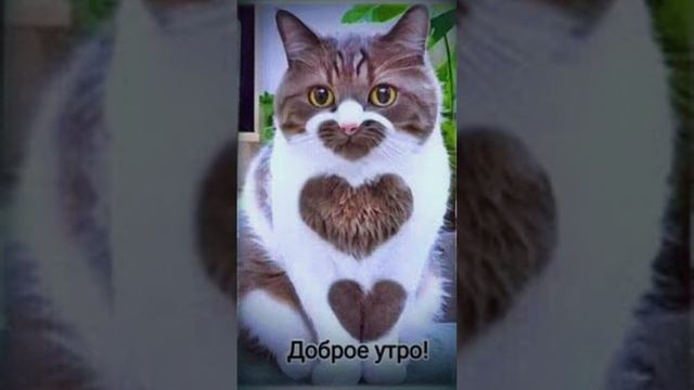 ❤️ хорошего дня☺️