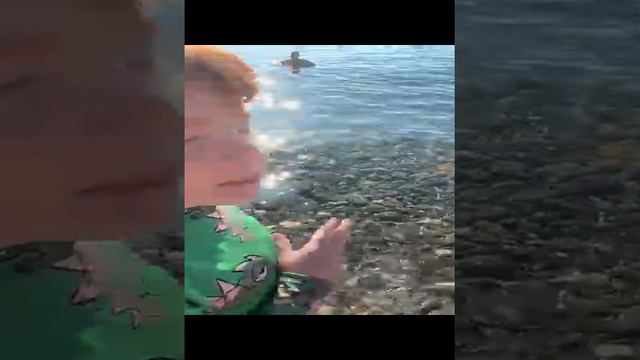 Нашли или мозг осьминога маленького или нашли гигантскую медузу мы в шоке поставьте пожалуйста лайк